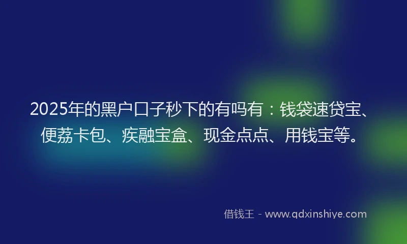 2025年的黑户口子秒下的有吗有：钱袋速贷宝、便荔卡包、疾融宝盒、现金点点、用钱宝等。