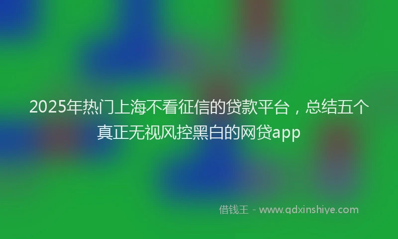 2025年热门上海不看征信的贷款平台，总结五个真正无视风控黑白的网贷app