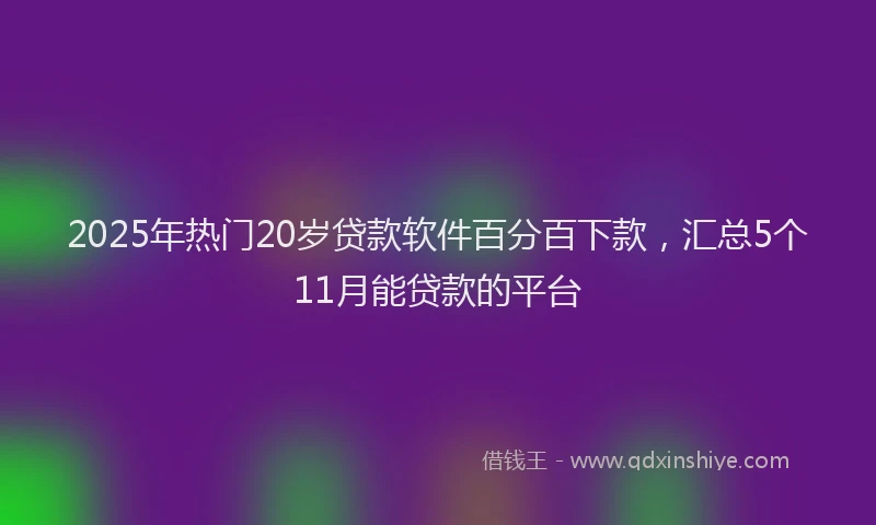 2025年热门20岁贷款软件百分百下款，汇总5个11月能贷款的平台