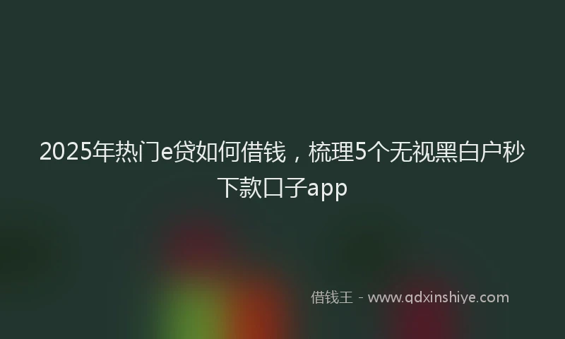 2025年热门e贷如何借钱，梳理5个无视黑白户秒下款口子app