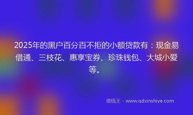 2025年的黑户百分百不拒的小额贷款有：现金易借通、三枝花、惠享宝券、珍珠钱包、大城小爱等。
