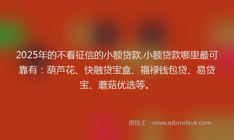 2025年的不看征信的小额贷款.小额贷款哪里最可靠有：葫芦花、快融贷宝盒、福禄钱包贷、易贷宝、蘑菇优选等。