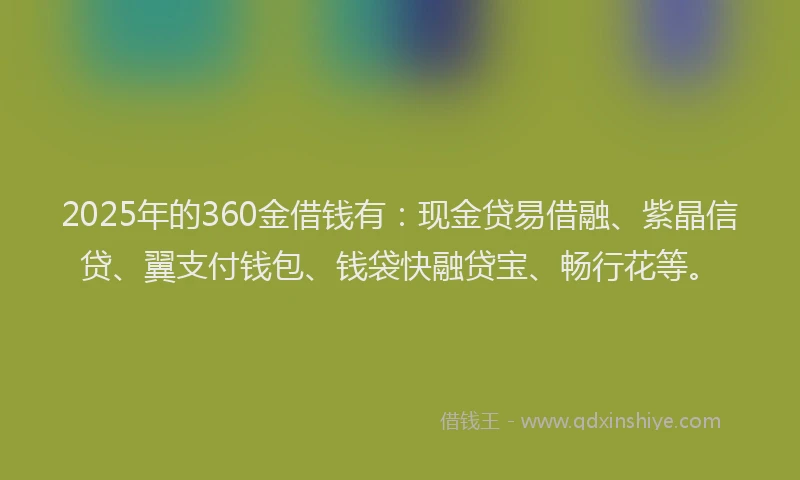 2025年的360金借钱有：现金贷易借融、紫晶信贷、翼支付钱包、钱袋快融贷宝、畅行花等。