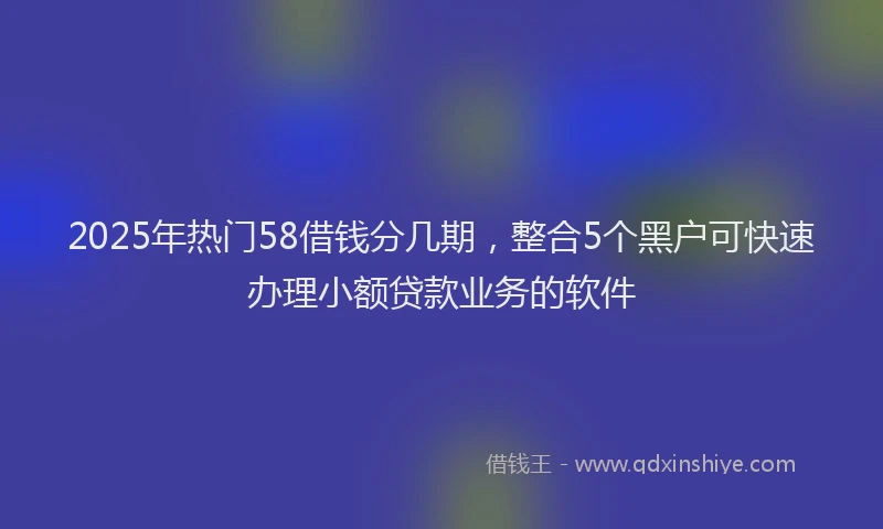 2025年热门58借钱分几期，整合5个黑户可快速办理小额贷款业务的软件