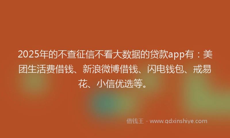 2025年的不查征信不看大数据的贷款app有：美团生活费借钱、新浪微博借钱、闪电钱包、戒易花、小信优选等。