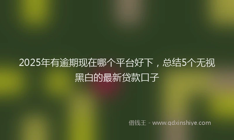 2025年有逾期现在哪个平台好下，总结5个无视黑白的最新贷款口子
