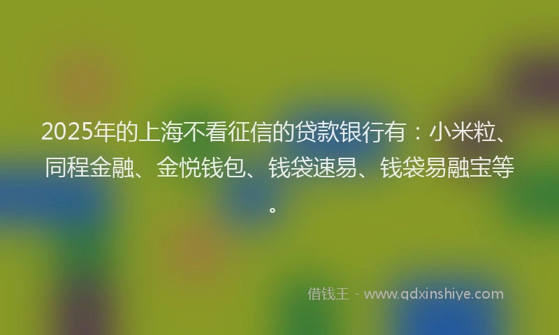 2025年的上海不看征信的贷款银行有：小米粒、同程金融、金悦钱包、钱袋速易、钱袋易融宝等。