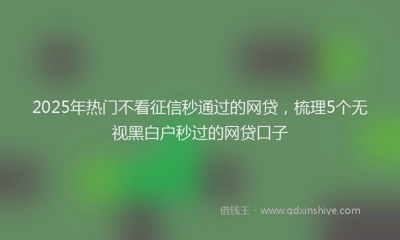 2025年热门不看征信秒通过的网贷，梳理5个无视黑白户秒过的网贷口子
