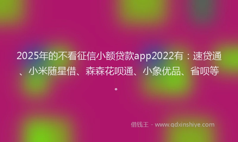 2025年的不看征信小额贷款app2022有：速贷通、小米随星借、森森花呗通、小象优品、省呗等。