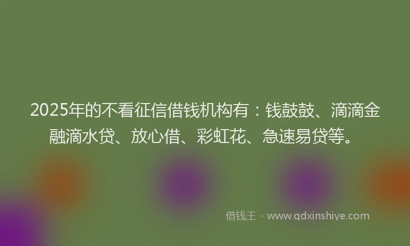 2025年的不看征信借钱机构有：钱鼓鼓、滴滴金融滴水贷、放心借、彩虹花、急速易贷等。