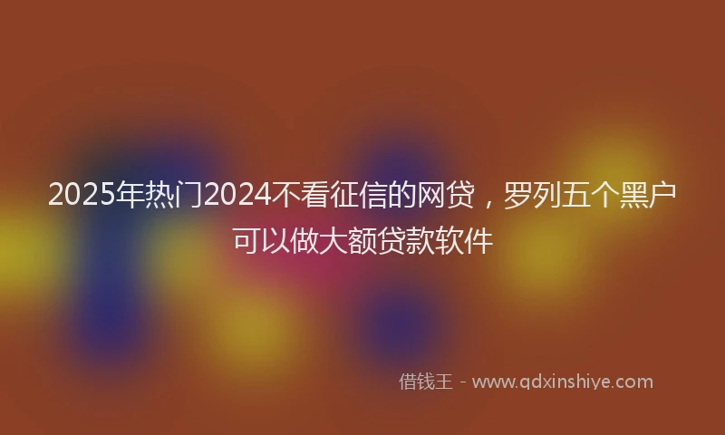 2025年热门2024不看征信的网贷，罗列五个黑户可以做大额贷款软件