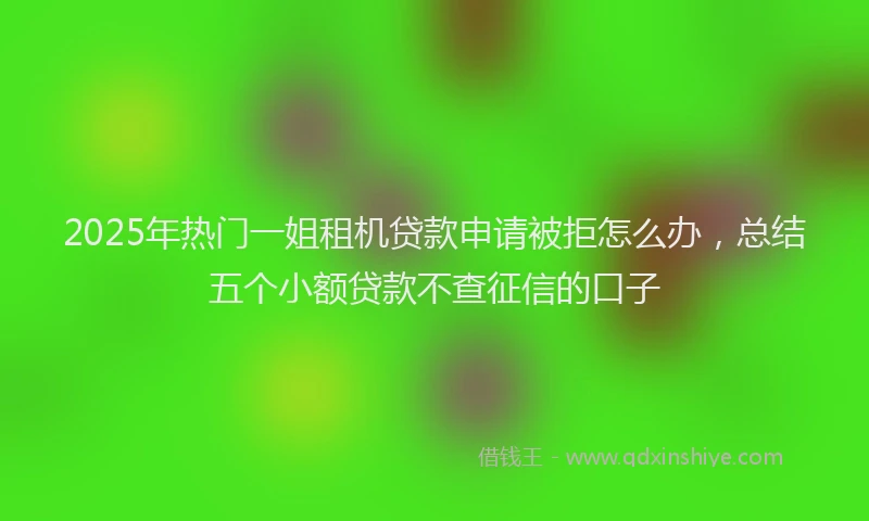 2025年热门一姐租机贷款申请被拒怎么办，总结五个小额贷款不查征信的口子