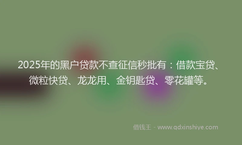 2025年的黑户贷款不查征信秒批有：借款宝贷、微粒快贷、龙龙用、金钥匙贷、零花罐等。