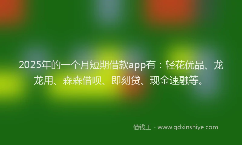 2025年的一个月短期借款app有：轻花优品、龙龙用、森森借呗、即刻贷、现金速融等。