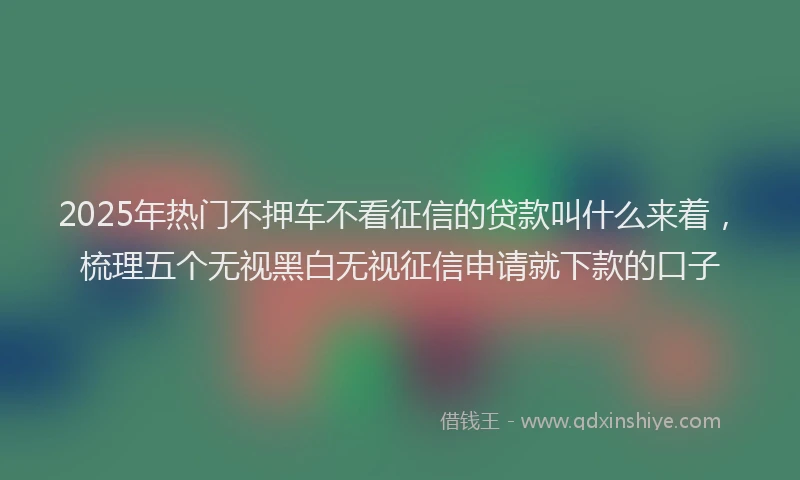 2025年热门不押车不看征信的贷款叫什么来着，梳理五个无视黑白无视征信申请就下款的口子
