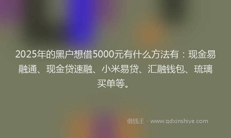 2025年的黑户想借5000元有什么方法有：现金易融通、现金贷速融、小米易贷、汇融钱包、琉璃买单等。