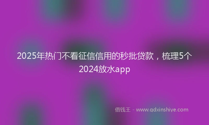 2025年热门不看征信信用的秒批贷款，梳理5个2024放水app