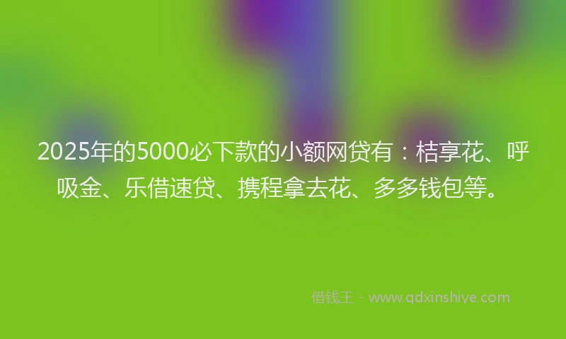 2025年的5000必下款的小额网贷有：桔享花、呼吸金、乐借速贷、携程拿去花、多多钱包等。