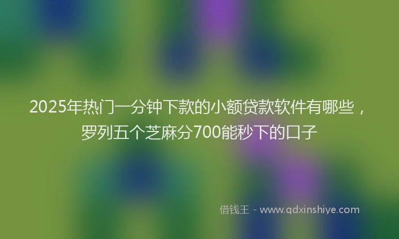 2025年热门一分钟下款的小额贷款软件有哪些，罗列五个芝麻分700能秒下的口子