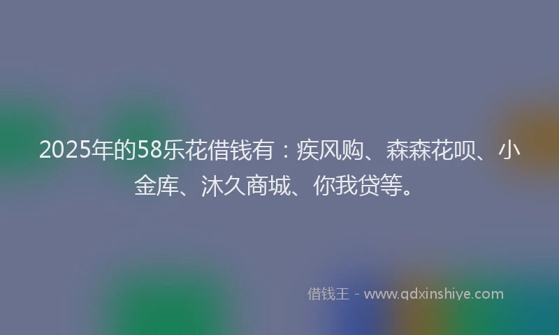 2025年的58乐花借钱有：疾风购、森森花呗、小金库、沐久商城、你我贷等。