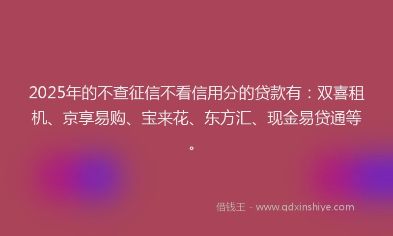 2025年的不查征信不看信用分的贷款有：双喜租机、京享易购、宝来花、东方汇、现金易贷通等。