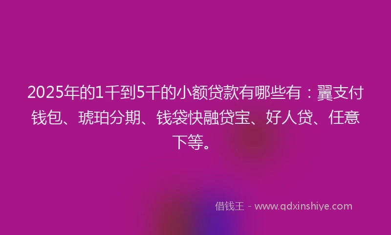 2025年的1千到5千的小额贷款有哪些有：翼支付钱包、琥珀分期、钱袋快融贷宝、好人贷、任意下等。