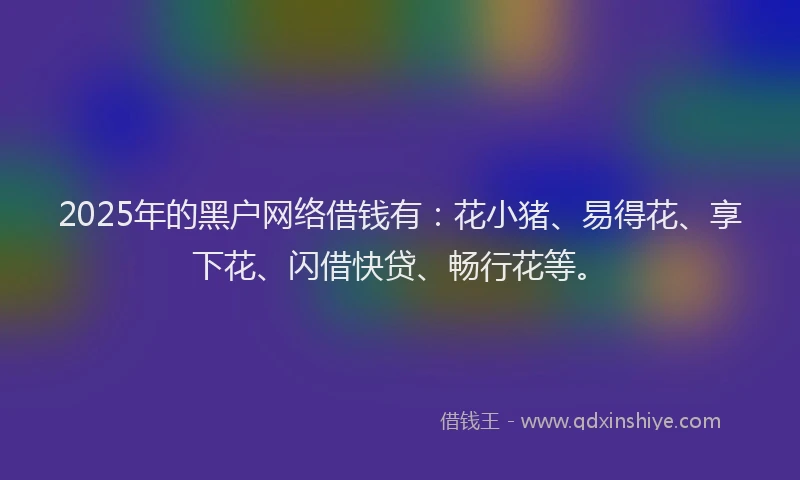 2025年的黑户网络借钱有：花小猪、易得花、享下花、闪借快贷、畅行花等。