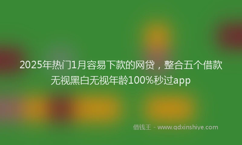 2025年热门1月容易下款的网贷，整合五个借款无视黑白无视年龄100%秒过app