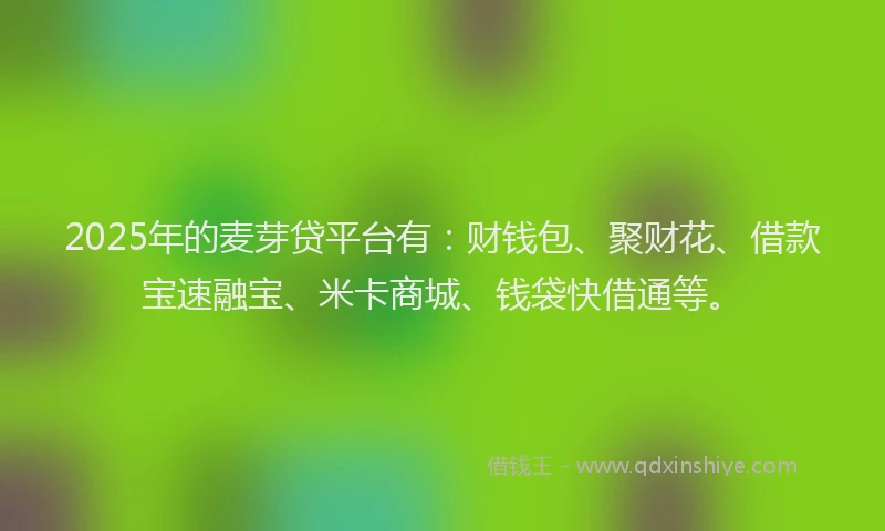 2025年的麦芽贷平台有：财钱包、聚财花、借款宝速融宝、米卡商城、钱袋快借通等。