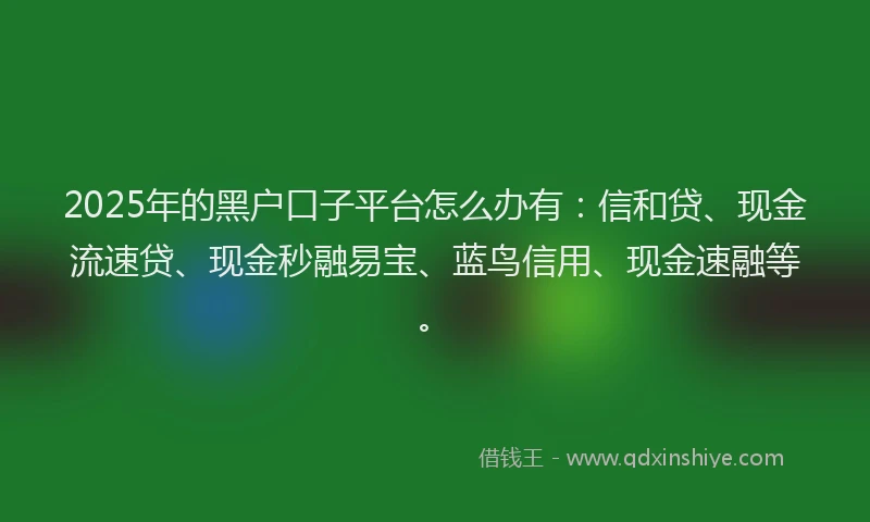 2025年的黑户口子平台怎么办有：信和贷、现金流速贷、现金秒融易宝、蓝鸟信用、现金速融等。