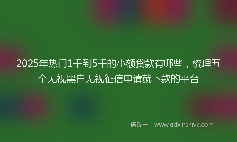 2025年热门1千到5千的小额贷款有哪些，梳理五个无视黑白无视征信申请就下款的平台