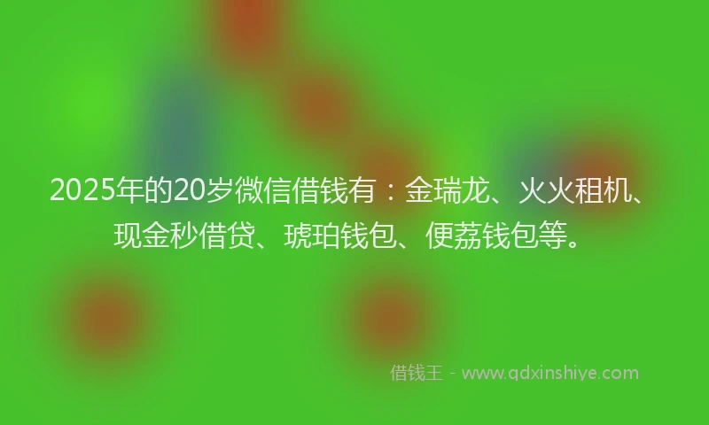 2025年的20岁微信借钱有：金瑞龙、火火租机、现金秒借贷、琥珀钱包、便荔钱包等。