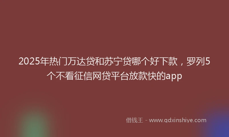 2025年热门万达贷和苏宁贷哪个好下款，罗列5个不看征信网贷平台放款快的app