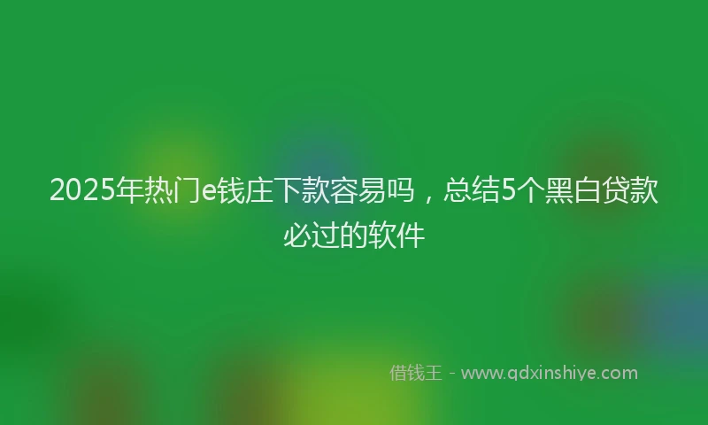 2025年热门e钱庄下款容易吗，总结5个黑白贷款必过的软件