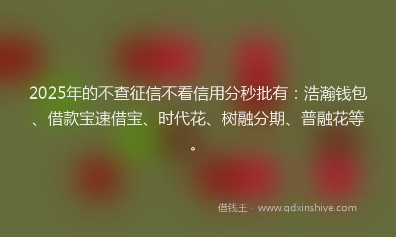 2025年的不查征信不看信用分秒批有：浩瀚钱包、借款宝速借宝、时代花、树融分期、普融花等。