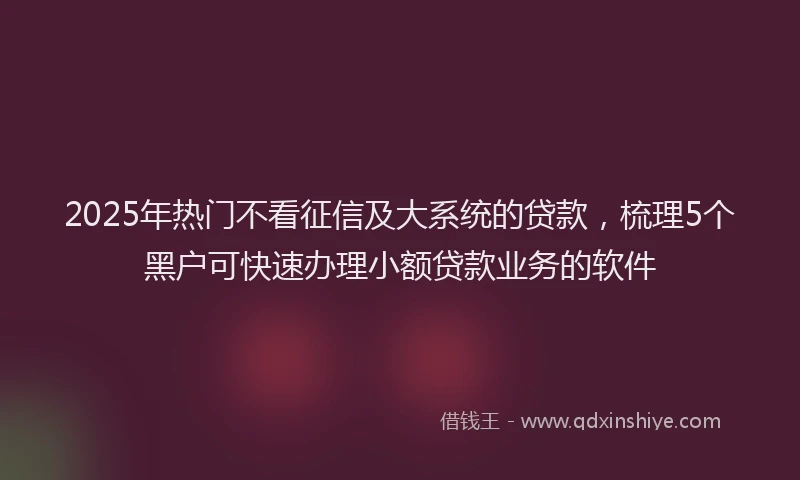 2025年热门不看征信及大系统的贷款，梳理5个黑户可快速办理小额贷款业务的软件