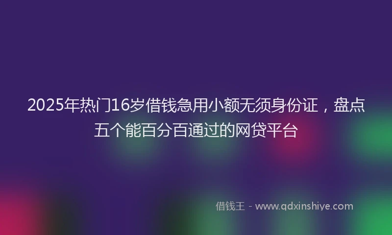 2025年热门16岁借钱急用小额无须身份证，盘点五个能百分百通过的网贷平台