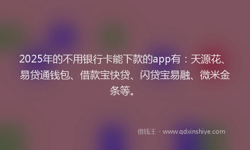 2025年的不用银行卡能下款的app有：天源花、易贷通钱包、借款宝快贷、闪贷宝易融、微米金条等。