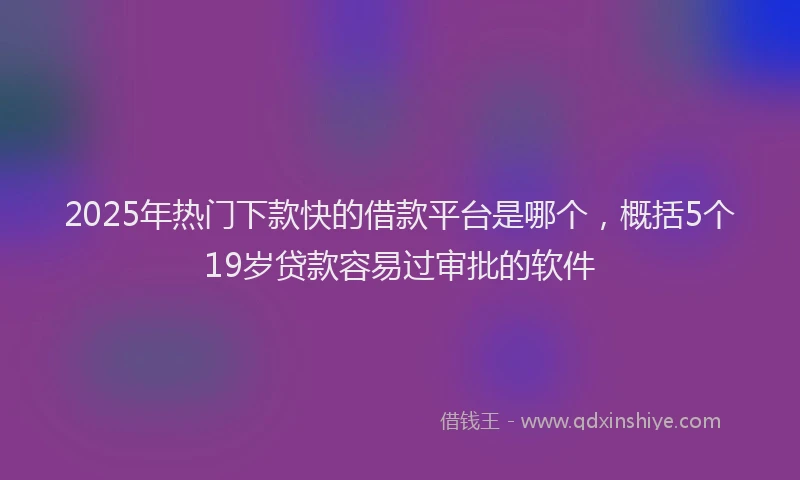 2025年热门下款快的借款平台是哪个，概括5个19岁贷款容易过审批的软件