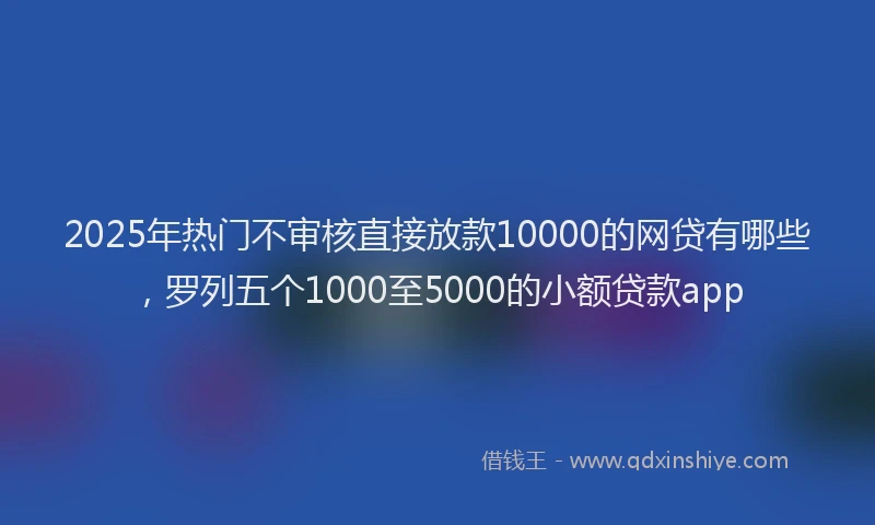 2025年热门不审核直接放款10000的网贷有哪些，罗列五个1000至5000的小额贷款app