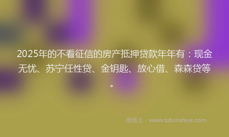 2025年的不看征信的房产抵押贷款年年有：现金无忧、苏宁任性贷、金钥匙、放心借、森森贷等。