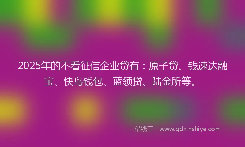 2025年的不看征信企业贷有：原子贷、钱速达融宝、快鸟钱包、蓝领贷、陆金所等。