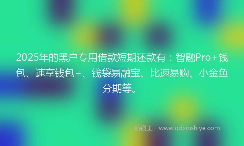 2025年的黑户专用借款短期还款有：智融Pro+钱包、速享钱包+、钱袋易融宝、比速易购、小金鱼分期等。