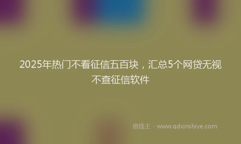 2025年热门不看征信五百块，汇总5个网贷无视不查征信软件