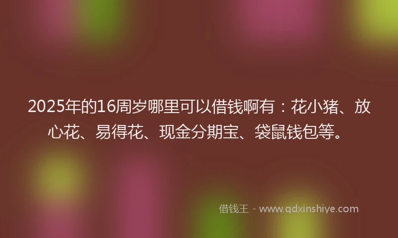 2025年的16周岁哪里可以借钱啊有：花小猪、放心花、易得花、现金分期宝、袋鼠钱包等。