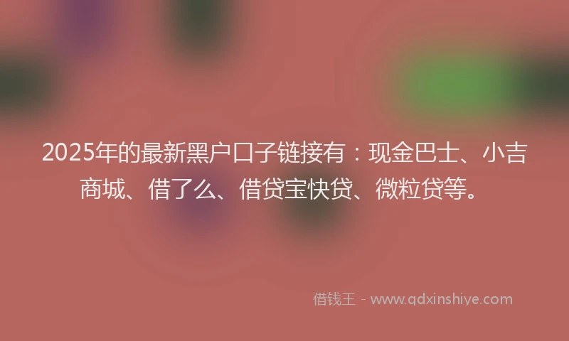 2025年的最新黑户口子链接有：现金巴士、小吉商城、借了么、借贷宝快贷、微粒贷等。
