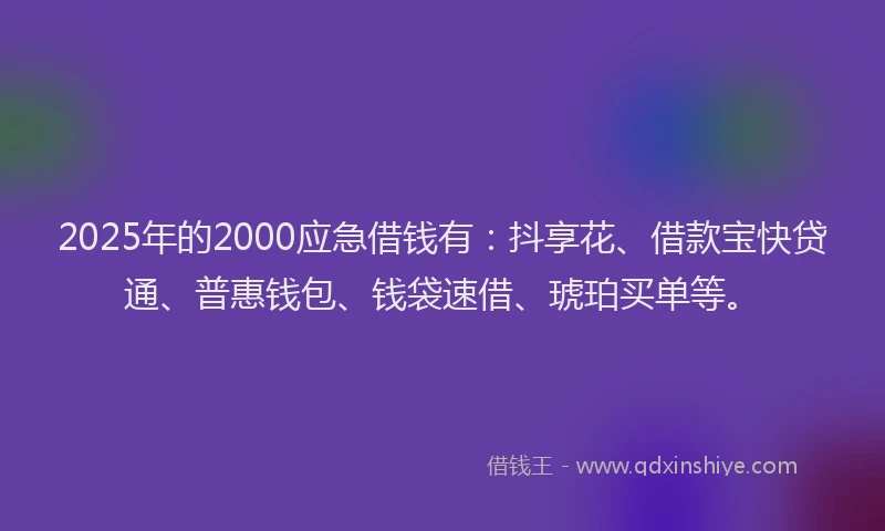 2025年的2000应急借钱有：抖享花、借款宝快贷通、普惠钱包、钱袋速借、琥珀买单等。