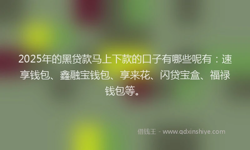 2025年的黑贷款马上下款的口子有哪些呢有：速享钱包、鑫融宝钱包、享来花、闪贷宝盒、福禄钱包等。