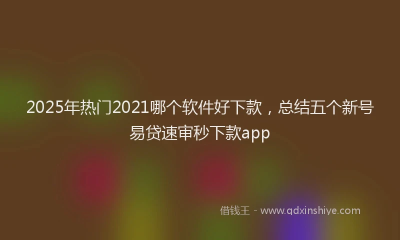 2025年热门2021哪个软件好下款，总结五个新号易贷速审秒下款app