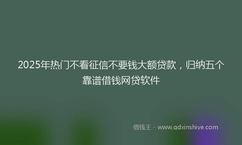 2025年热门不看征信不要钱大额贷款，归纳五个靠谱借钱网贷软件